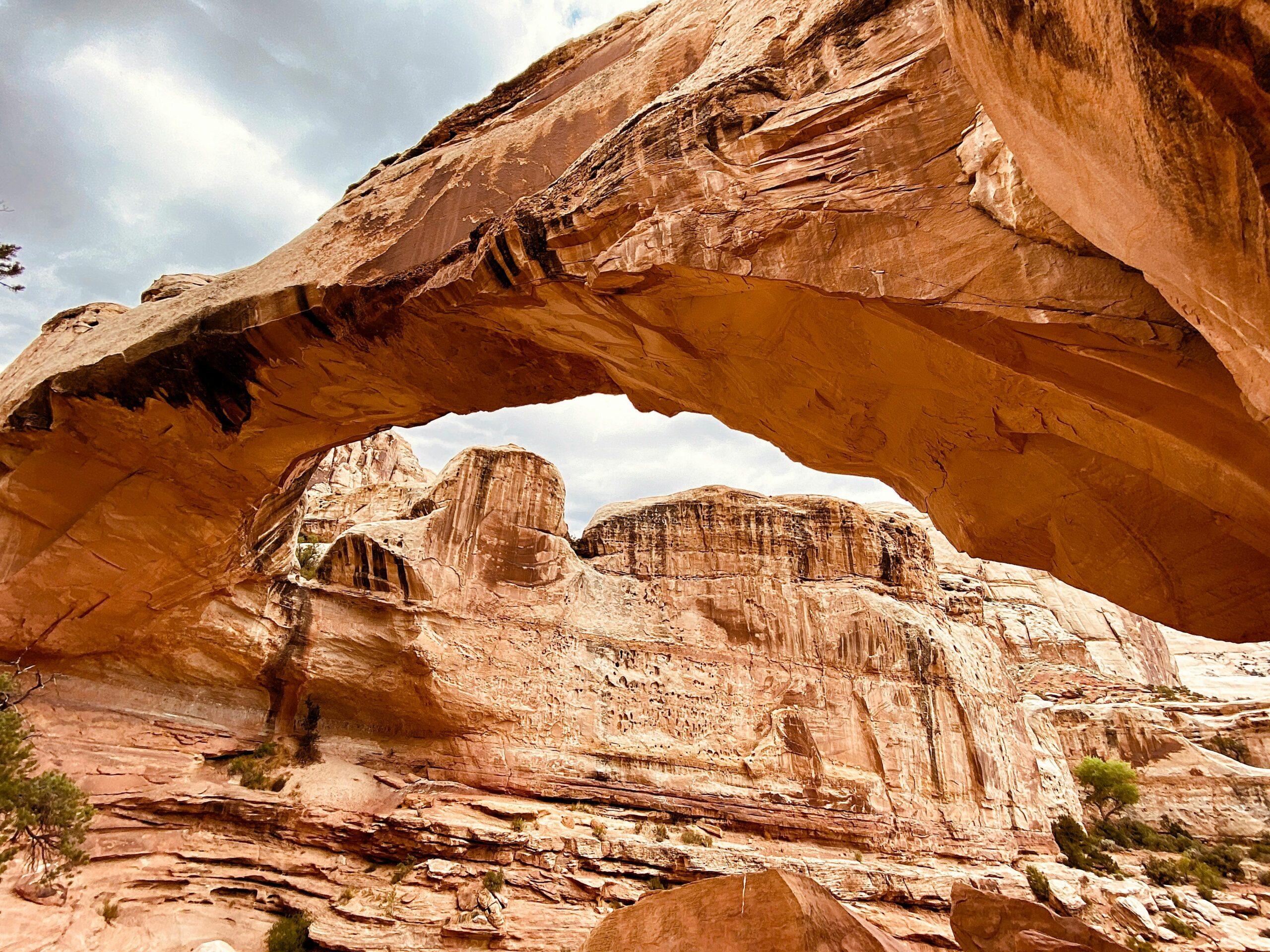 7 Breathtaking Hikes in St. George, UT You Won’t Want to Miss 